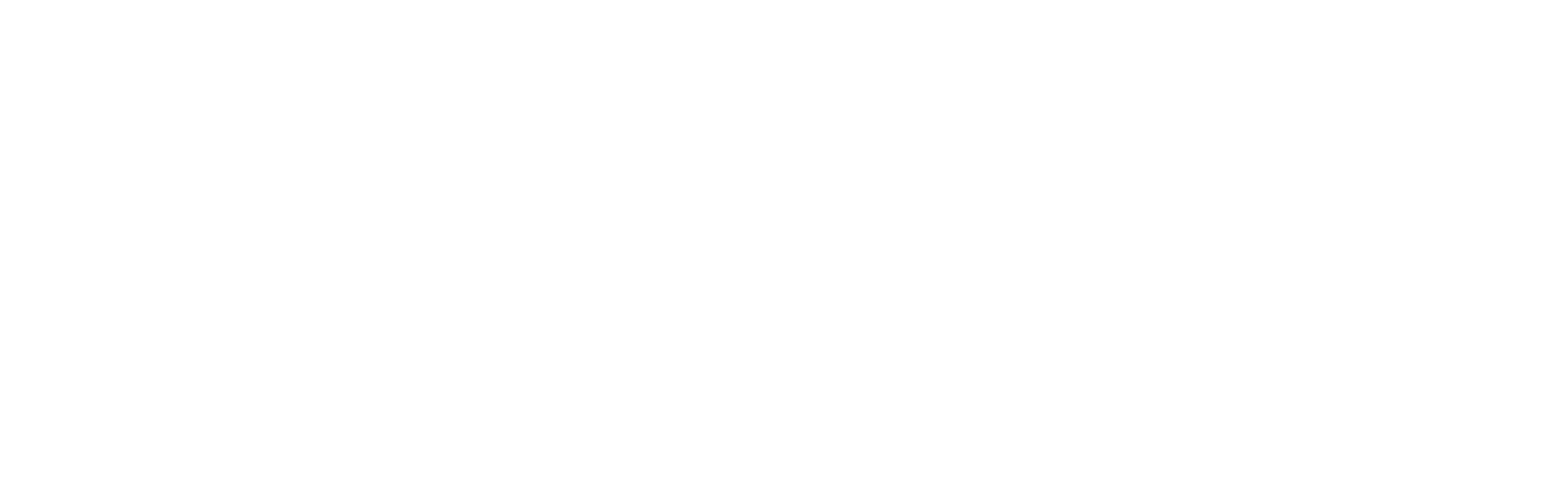 Partnerships 4 Success